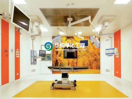 1739174329146974.jpg 16.jpg